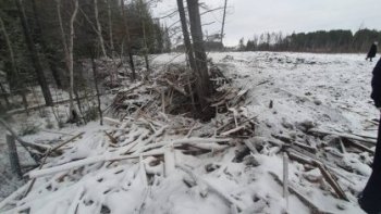 В Лесосибирске завершено расследование уголовного дела в отношении директора коммерческой организации по обвинению в покушении на мошенничество при проведении работ по ликвидации несанкционированных свалок